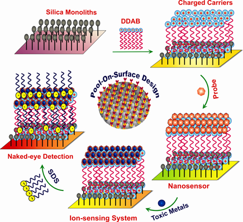 "Scheme 1Pool-on-Surface design for optical chemical" Image