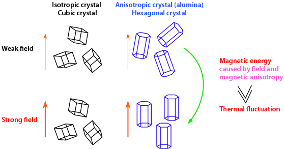 "Fig:Embedded resin for cross-sectional observation" Image