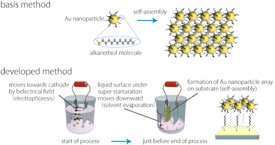 "Fig. 2 Schematic illustration of method arraying AuNPs (Top) Base technology, self-assembly on substrate (Bottom) New techniques developed based on basic technique" Image