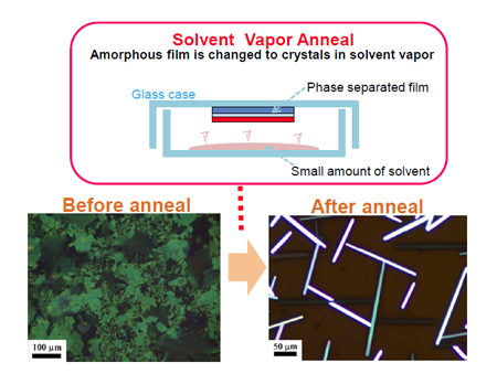 "Fig. 2 Step 2: The specimen and a solvent are simply enclosed in a glass container. An organic semiconductor film on an insulating polymer reforms at the molecular level and undergoes crystallization." Image