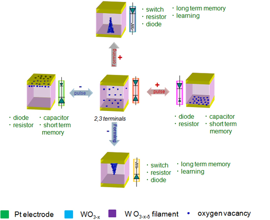 "Figure:Diverse functions of the on-demand-type device and method of switching those functions. Electrical conductivity in the vicinity of the interface is expressed by the marks of diode and resistance and their sizes." Image