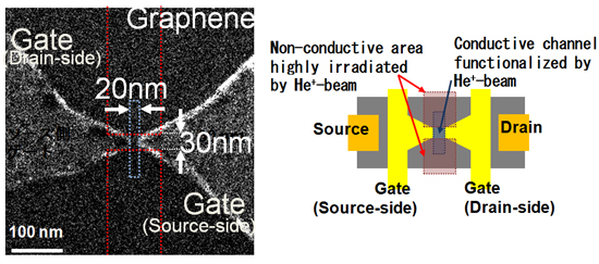 "Figure: Helium ion microscope image and schematic diagram of the prototype device." Image