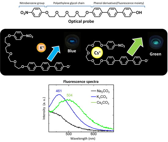 "Figure: Molecular structure, mechanism of fluorescence, and fluorescence spectrum of the optical probe substance for cesium detection." Image