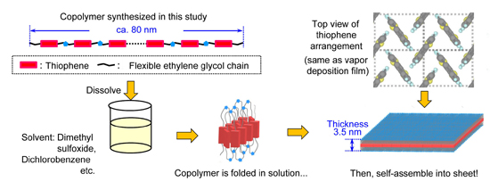 "Figure:Schematic diagram of the supramolecular thiophene nanosheet formation process." Image