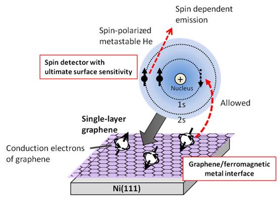 "Figure: Schematic diagram of the experimental method. When a low velocity spin-polarized metastable He beam is irradiated on the specimen surface, the He atoms rebound above the surface without penetrating to the interior. As a result, it is possible to selectively detect surface information. During the collision, the 1s-hole (black broken line arrow) is filled by a surface electron and the He atom returns to its ground state by releasing the 2s electron. Since the surface electron filing the 1s-hole should have the same spin to the hole, the ejected electron carries the spin information of surface electrons. By aligning the spin direction of 1s-hole a metastable He becomes a spin detector. In the present study the spin state of topmost layer of graphene/Ni(111), namely graphene, has been selectively detected with this method." Image