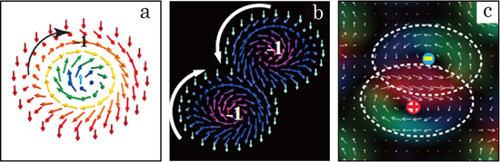 "Fig. 1 Skyrmion and skyrmion moleculea: SkyrmionThe arrows indicate the directions of the electron spins. The electron spins in a skyrmion head toward the center, while spinning in a vortex shape. The spin directions at the center and at the outermost periphery are vertically opposite.b: Schematic diagram of a skyrmion moleculec: Skyrmion molecule observed within a ferromagnetic thin film in an experimentThe plus and minus signs respectively indicate clockwise and counterclockwise spin direction." Image