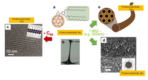 "Figure 1: Typical examples of self-assembly and photoconductivity control of liquid alkyl-π-conjugated molecules. (a) Chemical structure of the alkyl-C60 molecule used in this research. (b) Photograph of the alkyl-C60 molecule (solvent-free condition; liquid at room temperature). (c) High-resolution TEM image (the dark spots in the image show the individual arranged C60 parts) and a schematic illustration of a multi-layered lamellar sheet structure after adding C60. (d) Cryogenic high-resolution TEM image and a schematic drawing of a micelle structure after adding n-decane solvent as an alkyl component. (e) Schematic illustration of a gel fiber structure obtained by adding n-hexane solvent (rod-like micelles assembled hexagonally, and bundled to form a fiber gel. Black circles: cross-sections of C60 nanowires.)." Image