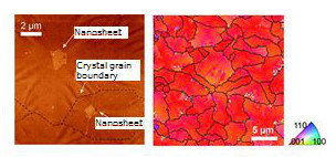 "Figure 1(left) An atomic force microscope image of the titanium oxide thin film fabricated by the new method, showing that nanosheets, which provided seed crystals, exist at the center of crystal grains.(right) A map of crystal grain orientation determined by electron backscattering diffraction. The black lines correspond to the boundaries of individual crystal grains and the color represents their orientation. All crystal grains are highly (001) oriented." Image