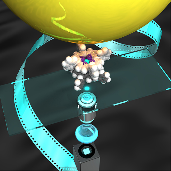 "Figure from the press release material. Schematic diagram illustrating single-molecule motion capturing and manipulation of 1-nm synthetic molecular machine by optical microscopy using a bead probe (single-molecule motion capturing)." Image