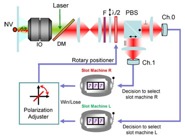 "Fig. 2 System architecture for single-photon decision maker and schematic diagram of experimental setup" Image