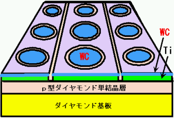 「図1　開発した太陽光ブラインド紫外線センサーの概略図。」の画像