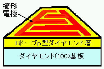 「図1　試作した太陽光ブラインド紫外線センサーの概略図。」の画像