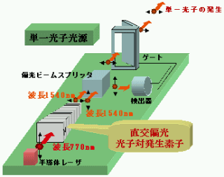 「図1　直交偏光光子対発生素子の単一光子源への応用例 : 光子対発生の確率には複数組同時発生の確率があるが、偏光分離した光子のみを検知してゲートを開閉することで一組の光子対発生の場合のみを選択し、単一光子源を実現する。」の画像