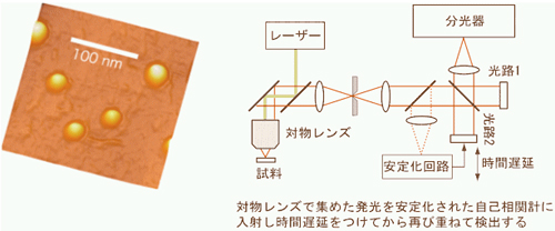 「左画像 : 図1　量子ドットの原子間力顕微鏡写真。右画像 : 図3　実験配置図。」の画像