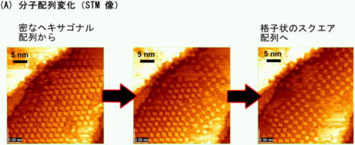 「修飾ポルフィリン分子の配列が変わっていく様をリアルタイムで観察した走査型電子顕微鏡像 (A) 。」の画像