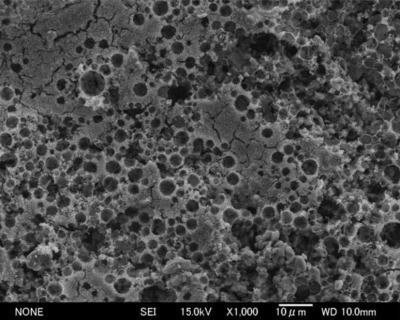 「プレス資料中の写真1: 開発した新技術で作製した光触媒コート膜の表面SEM写真。焼成温度は500℃」の画像