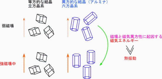 「プレス資料中の図1: 微粒子の磁場による回転の模式図」の画像