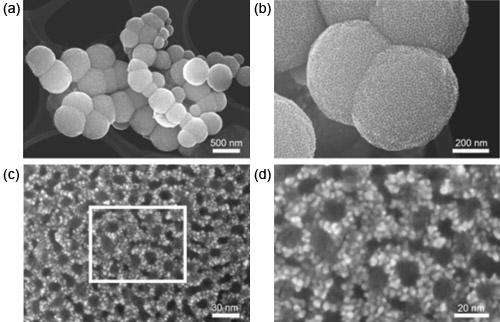 「プレス資料中の図4: 大細孔径メソポーラス白金のSEM像」の画像