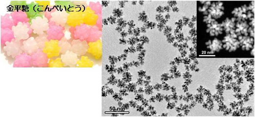 「プレス資料中の図2: 白金ナノ金平糖のTEM像」の画像