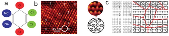 「プレス資料中の図　「ブレインライクな(脳のような)分子回路の概念」(a) DDQ(2,3-dichloro-5,6-dicyano-p-benzoquinone,2,3-ジクロロ-5,6-ジシアノ-p-ベンゾキノン)分子(b) 分子アセンブリの走査トンネル顕微鏡イメージ(上)と対応する分子回路(下)(c) ○は分子、数字は連結するワイヤ数を表す。」の画像