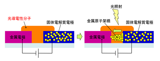 「プレス資料中の図1光原子スイッチの動作概念図。光照射によって光導電性分子に誘起される電流で固体電解質電極中のイオンが還元されて原子として析出、金属電極との間に金属の原子架橋を形成する。」の画像