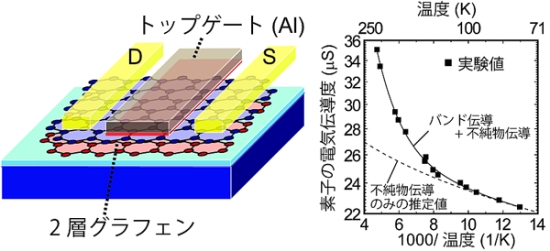 「(左) 2層のグラフェンをチャネルとした電界効果素子の概略図。電気伝導は原子膜であるグラフェンが2枚だけ重なったフィルムによってスイッチングされる。(右)素子の電気伝導度の温度依存性。これまでに見つけられなかった“2層グラフェンの電気伝導における電界効果バンドギャップ”の存在を示している。さらに、バンドギャップ効果と不純物伝導効果の解析から、これまでにバンドギャップを観測出来なかった理由も明確になった。」の画像