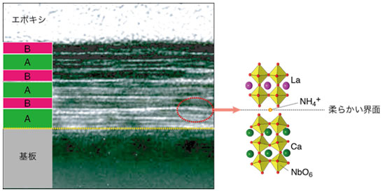 「プレス資料中の図3 : 酸化物電極 (SrRuO3) 上に作製した人工超格子の透過型電子顕微鏡像.2種類のペロブスカイトナノシートA、Bが交互に積層した高品位の人工超格子を形成している.また、赤外吸収を用いた分析の結果、この超格子では、AとBがアンモニウムイオンを介して静電的に結合し、界面付近のイオンが動きやすい、柔らかい界面が実現していることを確認した。」の画像