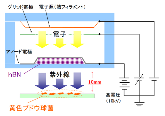 「プレス資料中の図3 : 殺菌試験方法」の画像