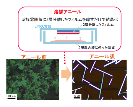 「プレス資料中の図2 : 第2ステップ。ガラス容器に試料と溶媒を簡単に封じ込めて待つだけで、絶縁ポリマー状の有機半導体膜が分子レベルで再構成されて結晶化する。」の画像