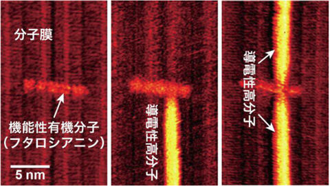 「プレス資料中の図2:機能性有機分子 (フタロシアニン) への化学的ハンダづけを行ったデモンストレーション。分子膜にフタロシアニンをのせた初期状態 (図左) 、一つのフタロシアニン分子に導電性高分子を一本 (図中) および二本 (図右) 接続した後の状態をそれぞれ走査トンネル顕微鏡で観察した。生成した導電性高分子は明るい線として像に現れる。」の画像