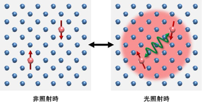 「プレス資料中の図2今回発見された原理を用いることで将来実現が期待される「スイッチ操作」の概念図。赤矢印は核スピン、青球は核スピンを持たない原子を表します。光 (赤円) により相互作用 (緑線) がオン状態となります。」の画像