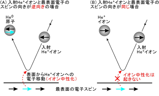 「プレス資料中の図1 : スピン偏極 4He+イオンビームによる最表面スピン分析の原理図。He+イオンは表面で散乱される際、最表面で電子を受け取りHe原子となる (イオン中性化) 。ただし、中性化が起こるのは、He+イオンのスピンと最表面の電子のスピンの向きが反平行の場合に限られる (パウリの排他原理) 。したがって、(A)ではHe+イオンは中性化されるのに対し、(B)では中性化が起きない。つまり中性化は最表面電子のスピンに依存するので、イオン中性化を経ずに散乱されたHe+イオンを観測することで、最表面の電子スピンを分析できる。」の画像