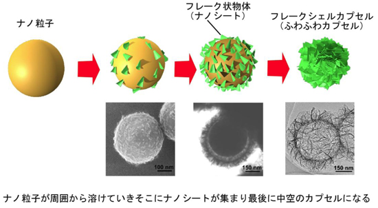 「プレス資料中の図1: フレークシェルの形成フレークシェルはシリカのナノ粒子が外側から溶解していき、その周囲でナノシートが析出集合していくことで形成される。」の画像