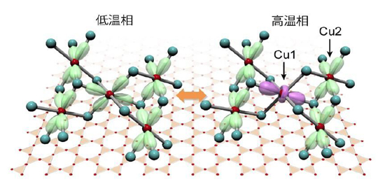 「プレス資料中の図2 : 銅鉱物ボルボサイト (Cu3V2O7(OH)2・2H2O) の軌道スイッチングカゴメ格子上のCu1サイトにおいて、不対電子が入るd軌道は、相転移温度TS= 310 Kを境界にして、x2-y2 (低温相 : 左) から3z2-r2 (高温相 : 右) へと切り替わります。これは、一種の秩序・秩序転移であり、「軌道スイッチング」と名付けられました。」の画像