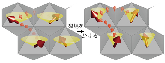 「プレス資料中の図4 : NaCr2O4の巨大磁気抵抗のメカニズムのイメージ図。Crイオン上の磁気モーメント (大矢印) は円錐面 (黄色) を回転するように並んでいます。磁場をかけると磁気モーメントが同じ方向に向き、電子 (小矢印 : 電子のスピンをイメージしています) がより飛び移りやすくなります。電子は同時に電荷も運ぶので、このことは電気が流れやすくなることを意味します。」の画像