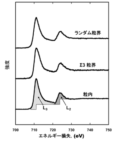 「プレス資料中の図1:純鉄の粒内、Σ3粒界、ランダム粒界から得られたFeのエネルギー損失分光スペクトル。図中のピークは高エネルギー損失側からそれぞれL2、L3端と呼ばれるピークである。これら二つのピークをまとめてホワイトラインと呼んでおり、点線とプロファイルで囲まれたホワイトラインの面積を求め、その強度比を計算することで、磁気モーメントが測定できる。」の画像