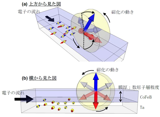 「プレス資料中の図3:Ta/CoFeB/MgO磁性ナノへテロ接合に電流を流した際の磁化の動きを模式的に表したもの。スピンホール効果などによってスピン流が生成され、その一部が磁性層に進入すると、磁性層の磁化にトルクが作用する。今回、トルクが作用する方向や大きさを調べ、電流と平行な成分と直交する成分が存在することを発見した。電流を流していない時、磁化は膜面垂直方向を向いている。電流を流すと、磁化が面内方向に傾く ((a)図参照) のと同時に回転 ((b)図参照) を始める。イメージとして、水車の軸を磁化、水車を駆動する水を電子の流れとするとわかりやすい (実際に磁化が傾斜、回転する機構は、様々な効果が絡んだより複合的なものである。)」の画像