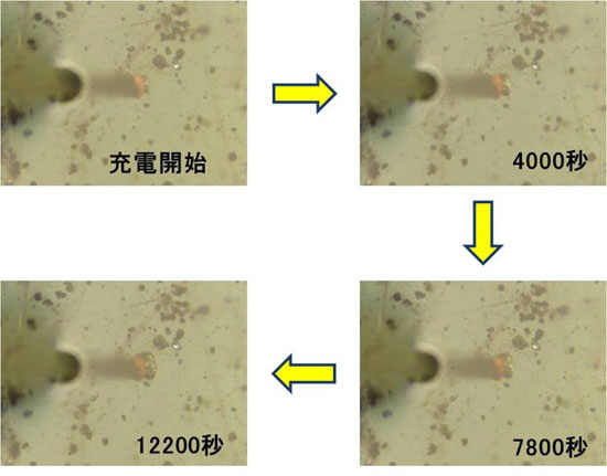 「プレス資料中の図2 : 充電に伴うシリコン粒子の膨張。 3nAの電流を印加しながら、シリコン粒子の膨張過程を観察した様子。プローブ先端には銅メッキを施しており、先端が銅褐色になっている。プローブと接触した黒色のシリコン粒子 (一部金属光沢を有する) が、充電に伴い膨張する。 (赤丸中)」の画像