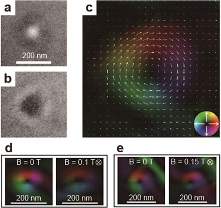 「図3.ナノ磁気クラスターの高倍率の像。(a),(b)はそれぞれ正焦点からマイナス側とプラス側に焦点を外した像。(c)は(a),(b)から求めた面内の磁化分布マップ。色の分布と濃度がそれぞれ面内磁化の方向と強度を表す (右下の挿入図参照) 。矢印の方向と大きさもそれぞれ面内磁化の方向と強度を表す。(d),(e)は別々の磁気クラスターの外部磁場(B)に対する応答。外部磁場の向きは紙面手前から裏側方向。(e)の右上の緑の直線は試料の端が作る偽の像。」の画像