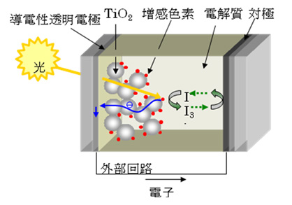 「プレス資料中の図1 色素増感太陽電池の模式図」の画像