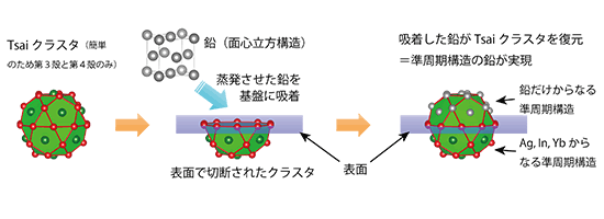 「プレス資料中の図2 : 鉛の吸着構造のイメージ。基板準結晶中のTsaiクラスタのうち表面近傍のものは表面で切断されている。鉛は通常面心立方構造をとるが、準結晶基板上では表面近傍で切断されたTsaiクラスタを復元するように吸着していた。これは、鉛が基板の準結晶と同じ構造で結晶成長していることを示している。」の画像