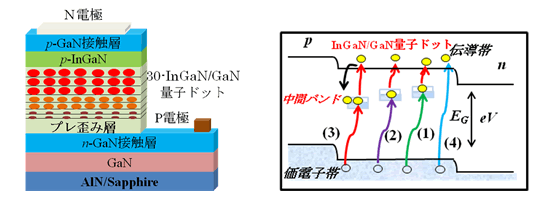 「プレス資料中の図1 (左)  MOCVDによるInGaN多重準位中間バンド太陽電池の構造 (右) InGaN多重準位中間バンド太陽電池のバンドダイアグラム概略図。2.40, 2.29, 及び1.97 eVの中間準位を持つ中間バンドが形成されている。」の画像