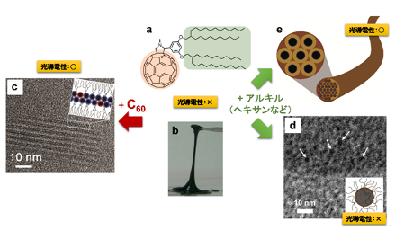 「プレス資料中の図1 : 液状のアルキル-π共役系分子の自己組織化および光導電性制御の典型例.(a) 本研究で用いたアルキル-C60分子の化学構造.(b) アルキル-C60分子の写真 (無溶媒下、室温で液状) .(c) C60添加後の多層シート構造の高分解能TEM像 (画像中の濃いスポットは配列した個々のC60部位に相当.) および模式図.(d) アルキル成分としてデカン溶媒を添加後のミセル構造の低温高分解能TEM像および模式図.(e) ヘキサン溶媒添加で得られるファイバー状構造の模式図 (棒状ミセルがヘキサゴナル状に組織化し、さらにバンドル化してファイバー・ゲル化.黒塗り円部分 : C60ナノワイヤの断面に相当.) .」の画像