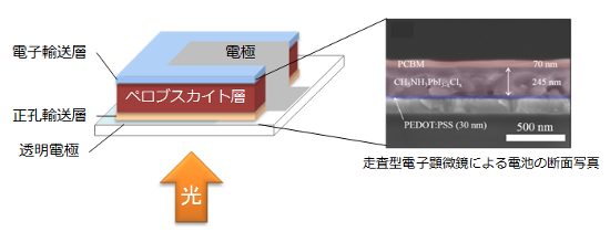 「プレスリリースの図1 : 　ペロブスカイト太陽電池の模式図と走査型電子顕微鏡による電池の断面写真。光は電池の透明電極側から照射されます。ペロブスカイト層において、光を吸収し、光励起によって電子と正孔の電荷が発生します。ペロブスカイト層中の電子は電子輸送層 (PCBM) へ輸送され、電極から取り出されます。正孔は正孔輸送層へ輸送され、透明電極から取り出されることで電力を得ます。」の画像