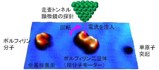 「プレスリリースの図2 : 　分子モーターが動作する様子を示す概念図。走査トンネル顕微鏡の探針から電流を注入することで、ポルフィリン分子の二量体が矢印の方向に回転する。」の画像