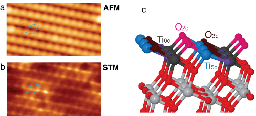 「プレスリリースの図1 : 　AFM・STM同時測定で得られたアナターゼ酸化チタン表面のAFM像 (1a) とSTM像 (1b) 。図の平行四辺形は、表面の同じ場所を示す。輝点がAFM像とSTM像で異なることが分かるが、どちらが酸素でどちらがチタンかはこの図だけでは分からない。 (1c) はアナターゼ (101) 表面構造を横から見た図。」の画像