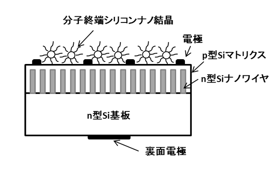 「プレスリリースの図1 : 分子終端シリコンナノ粒子を利用した太陽電池構造の模式図」の画像